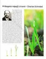 Nápoje z travin - Kniha o nápoji z trávy 5. - Václav Rathouský