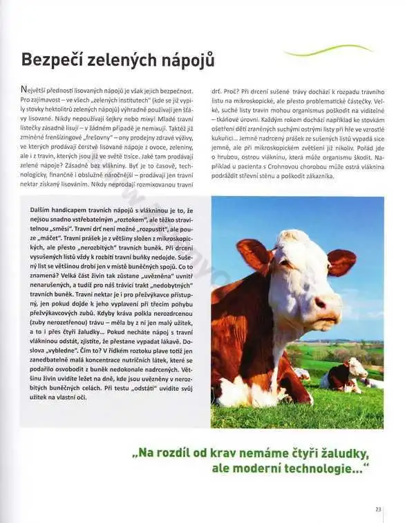 Nápoje z travin - Kniha o nápoji z trávy 5. - Václav Rathouský