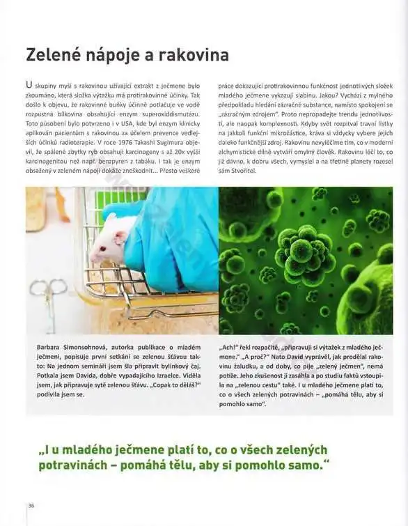 Nápoje z travin - Kniha o nápoji z trávy 5. - Václav Rathouský