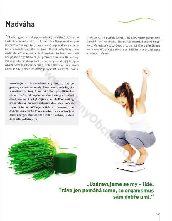 Nápoje z travin - Kniha o nápoji z trávy 5. - Václav Rathouský