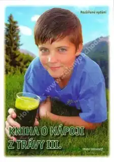 Nápoje z travin - Kniha o nápoji z trávy 3. - Václav Rathouský