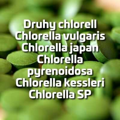Druhy chlorell - Chlorella vulgaris, Chlorella japan, Chlorella pyrenoidosa, Chlorella kessleri, Chlorella SP