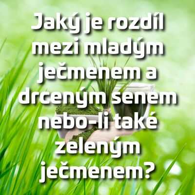 Jaký je rozdíl mezi mladým ječmenem a drceným senem nebo-li také zeleným ječmenem?