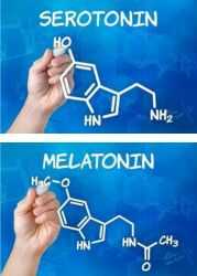serotonina melatonin