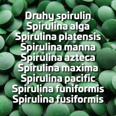 Druhy spirulin - Spirulina alga, Spirulina platensis, Spirulina manna, Spirulina azteca, Spirulina maxima, Spirulina pacific, Spirulina funiformis, Spirulina fusiformis